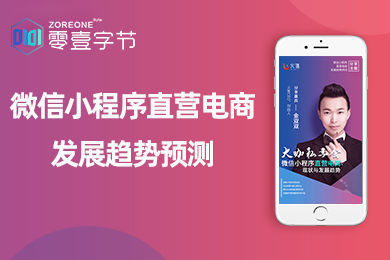 演讲干货语音包+文章：微信小程序直营电商的现状及发展趋势